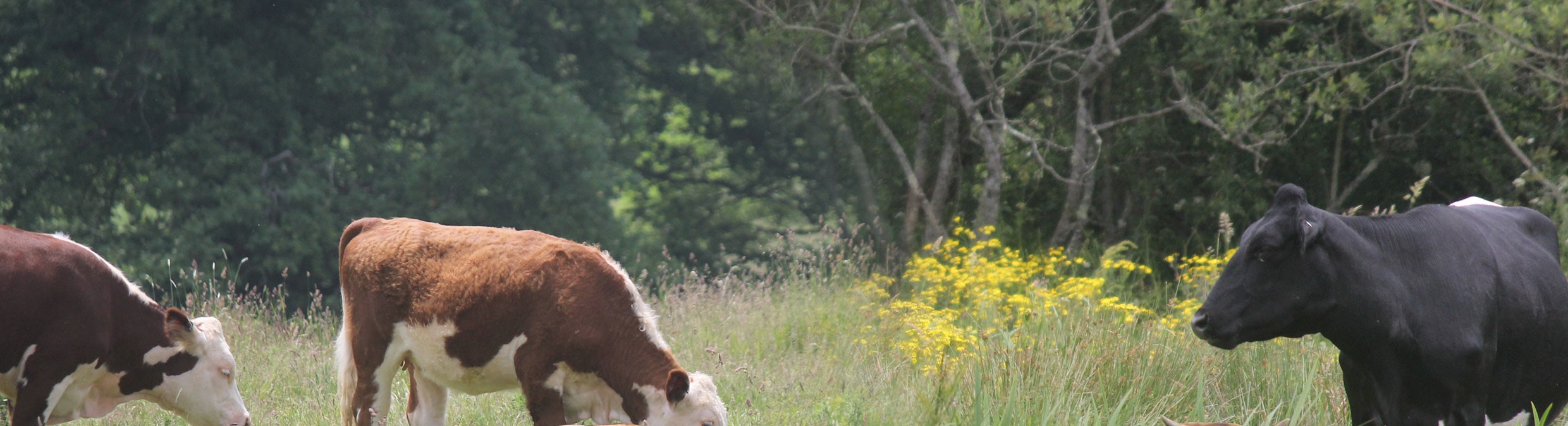 The 10 Most Critical Roles in Agriculture